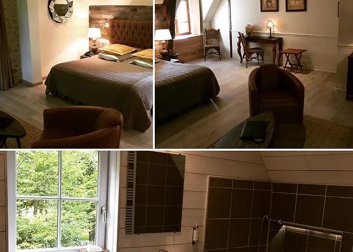 Hotel Domaine De Villeray 4*